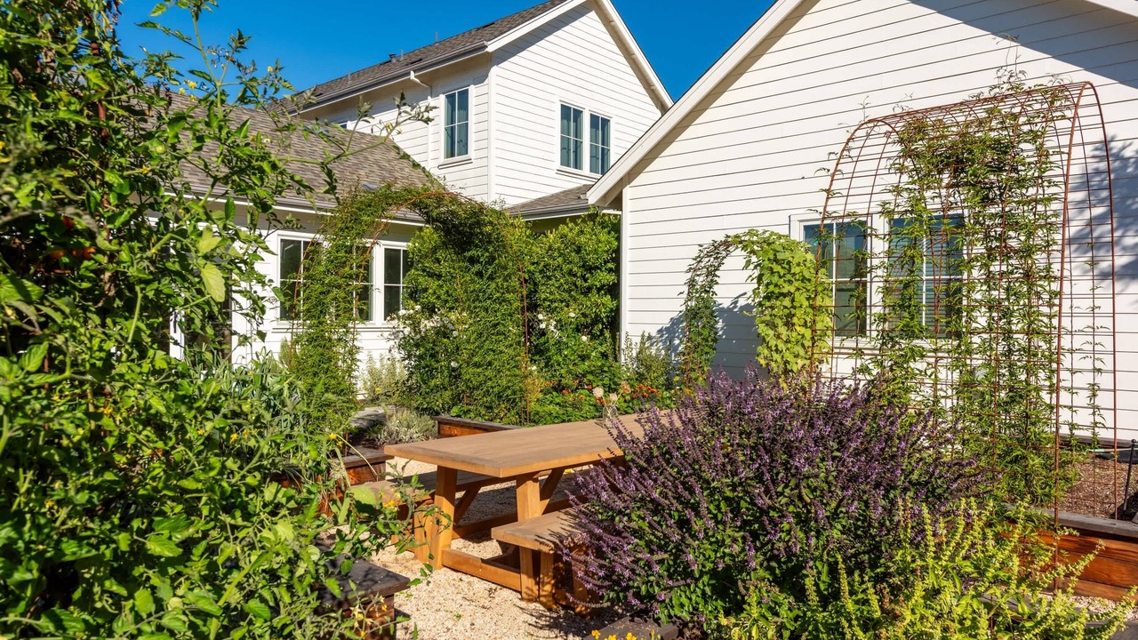 Photo of Outdoor in Healdsburg
