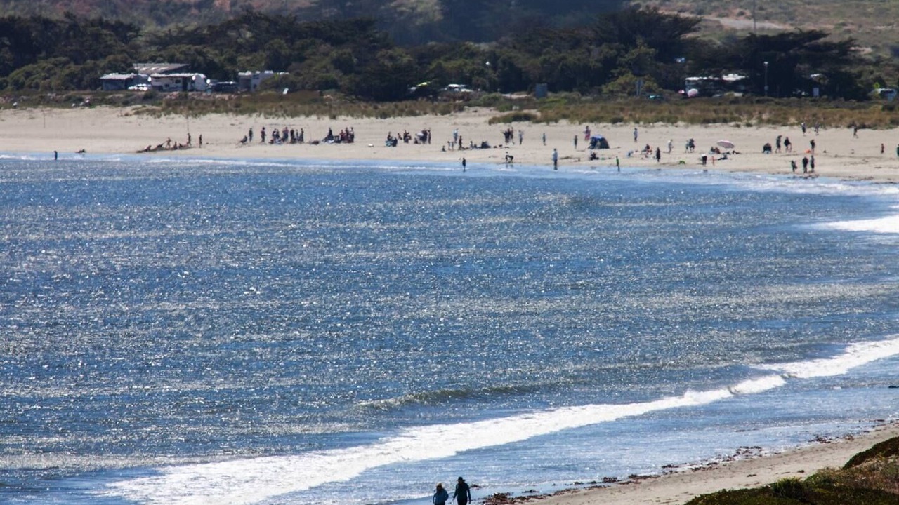 Photo of Others in Bodega Bay