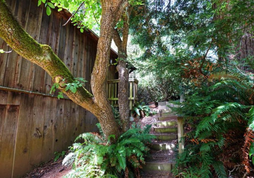 Photo of Outdoor in Arcata