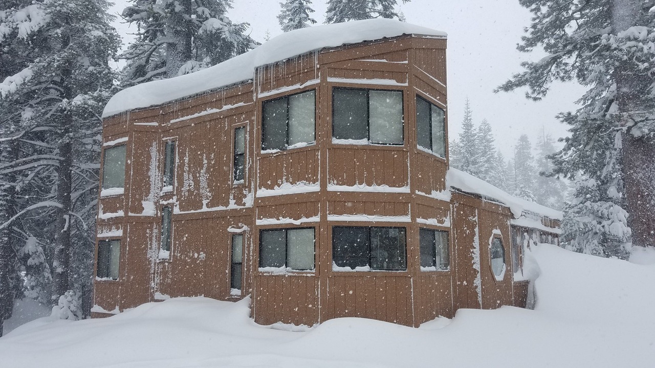 Photo of Others in Bear Valley