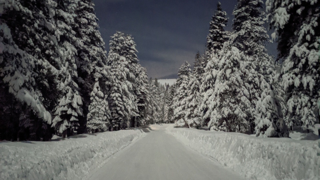 Photo of Others in Bear Valley