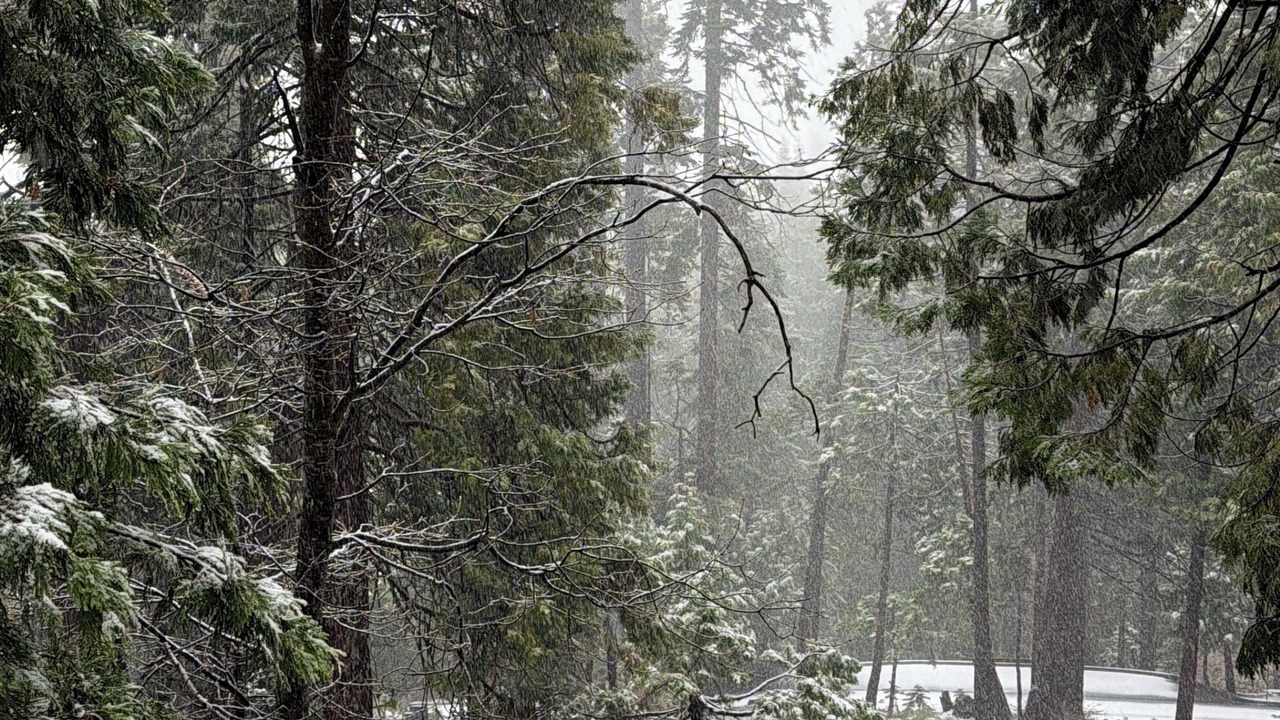 Photo of Others in Sierra Cedars