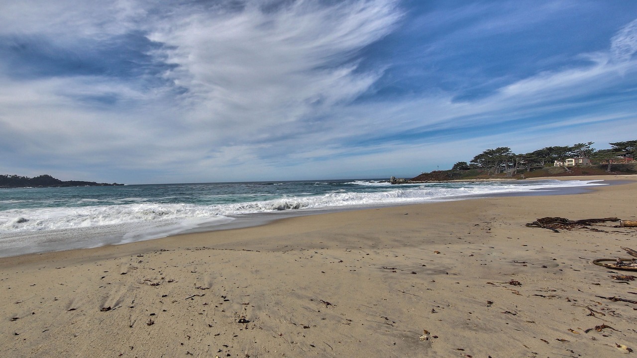Photo of Others in Carmel Point