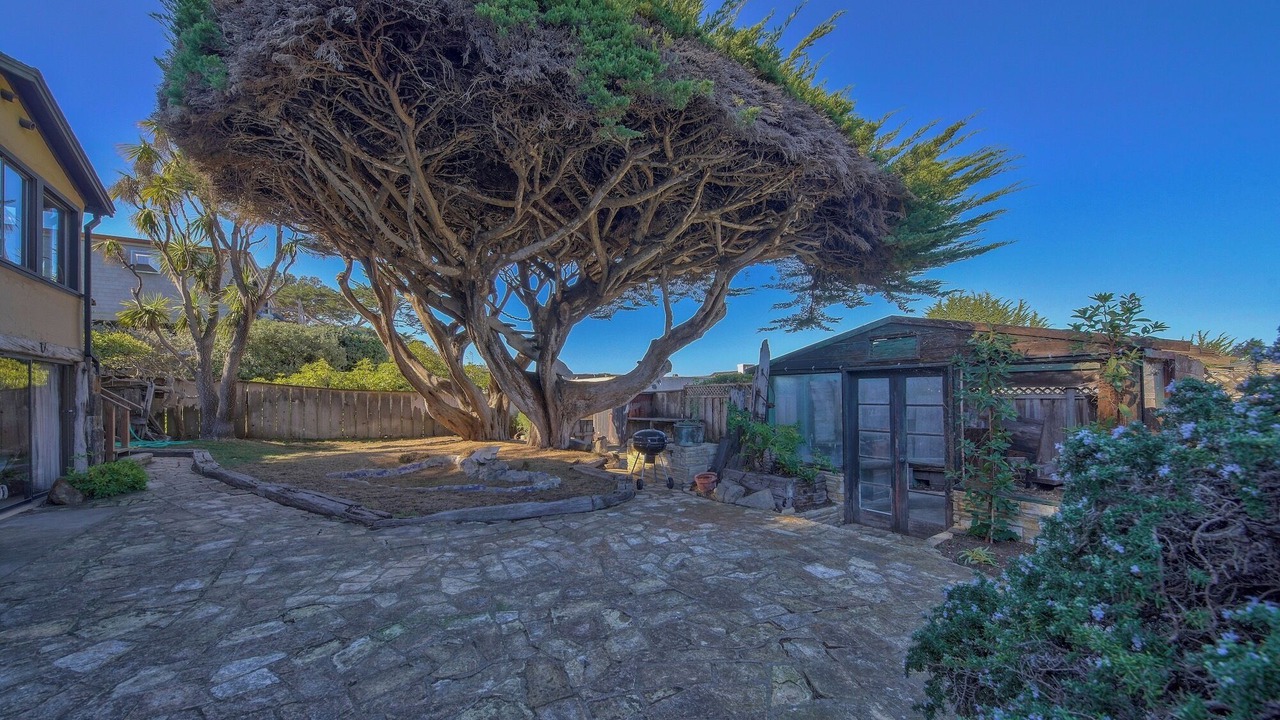 Photo of Outdoor in Carmel Point