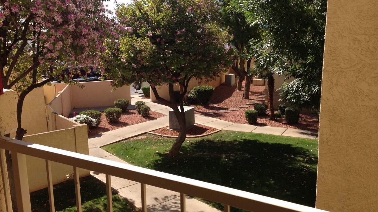 Photo of Outdoor in Surprise