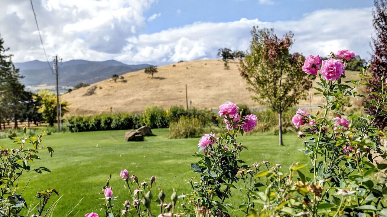 Photo of Outdoor in Medford