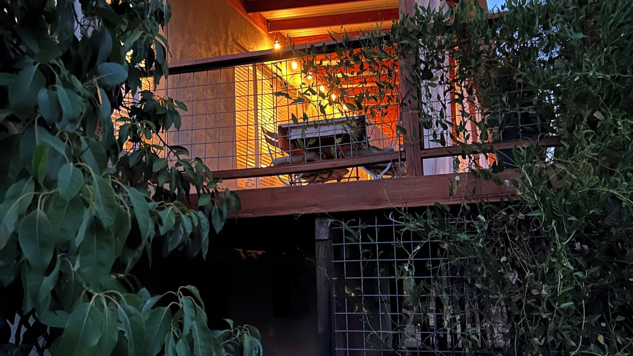 Photo of Outdoor in Deer Park