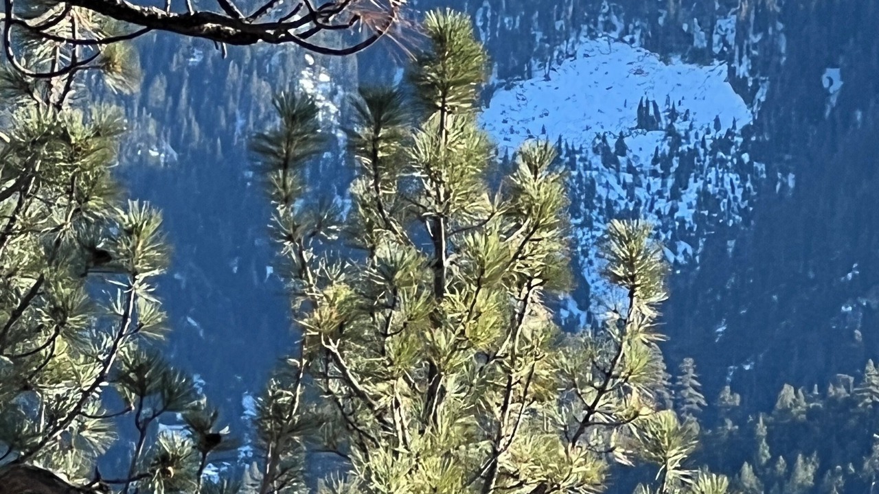 Photo of Others in Pine Mountain Club