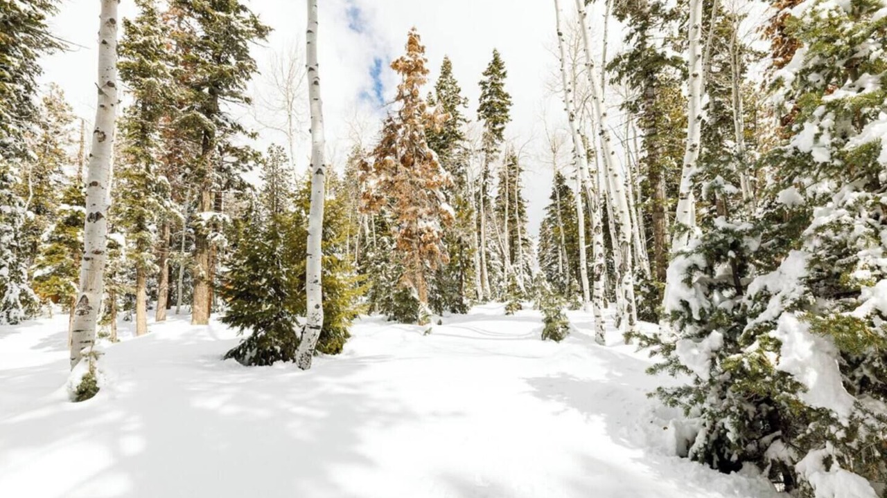 Photo of Others in Meadow View Heights