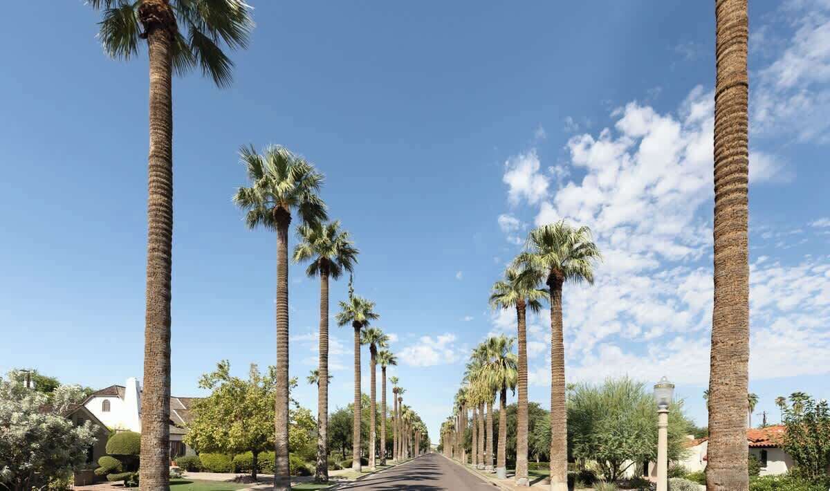 Photo of Others in Encanto-Palmcroft