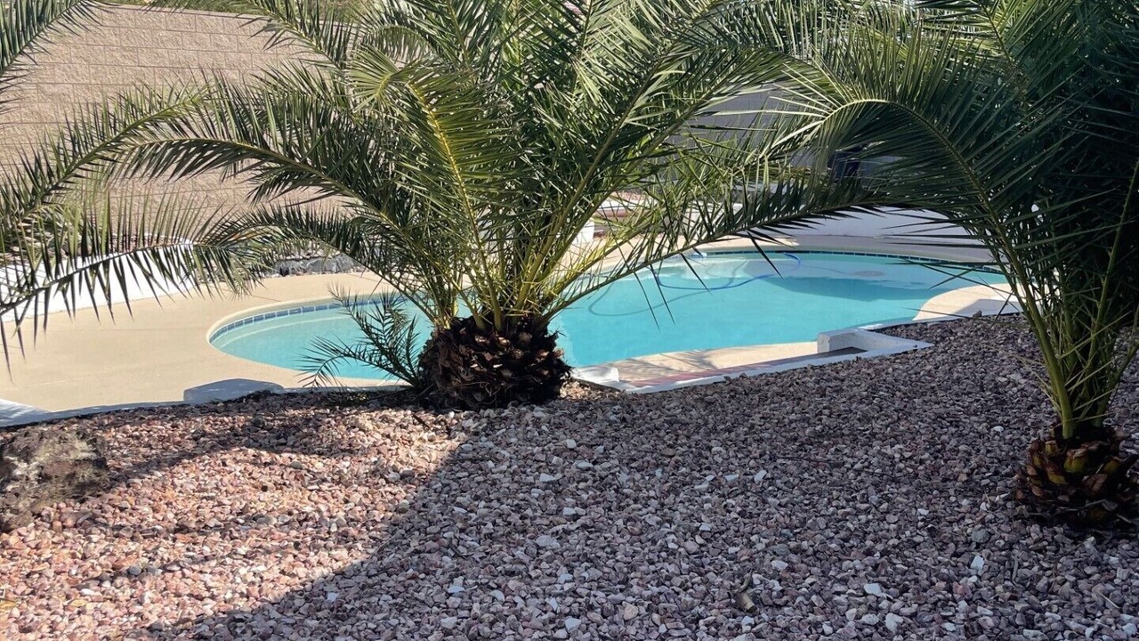 Photo of Outdoor in Paradise