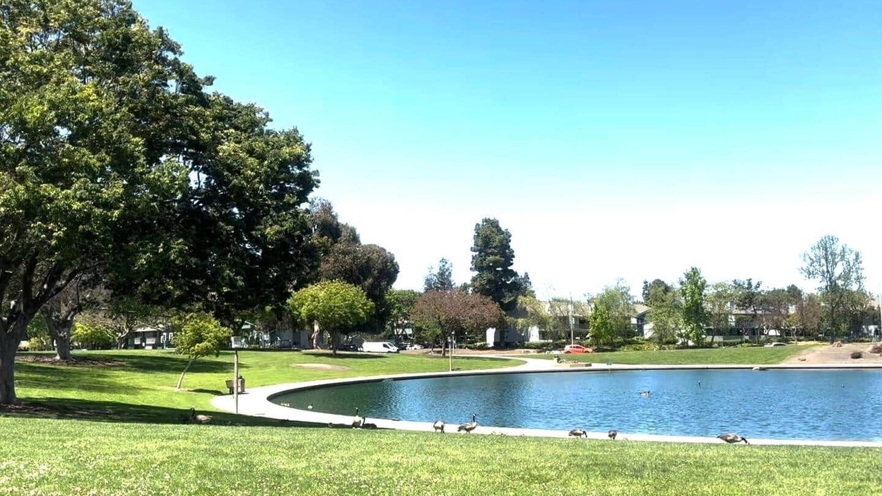Photo of Others in Sunnyvale