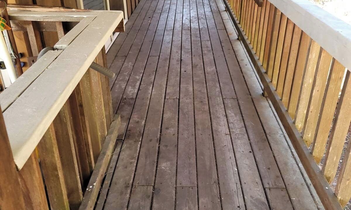 Photo of Outdoor in Myers Flat