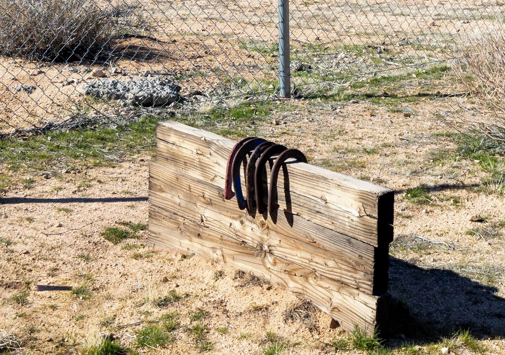 Photo of Others in Yucca Valley