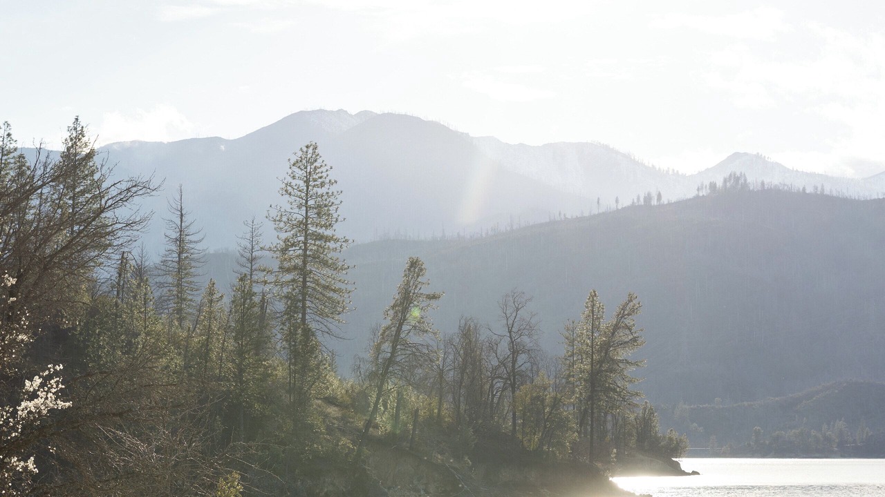 Photo of Others in Redding