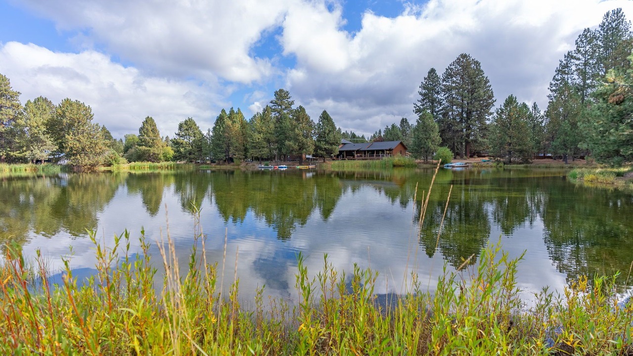 Photo of Others in Deschutes River Woods