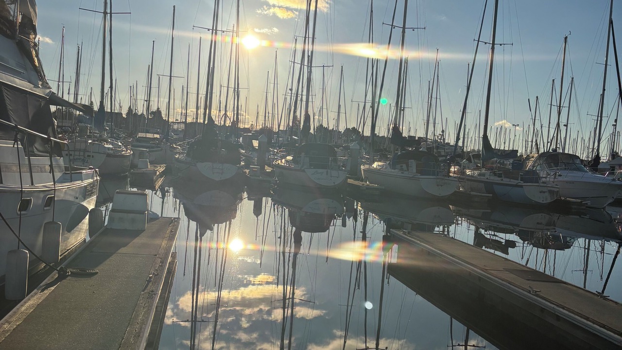 Photo of Others in Alameda