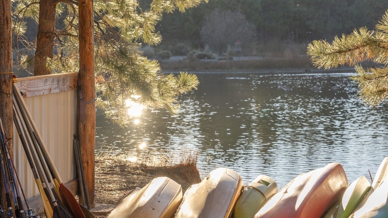 Photo of Others in Deschutes River Woods