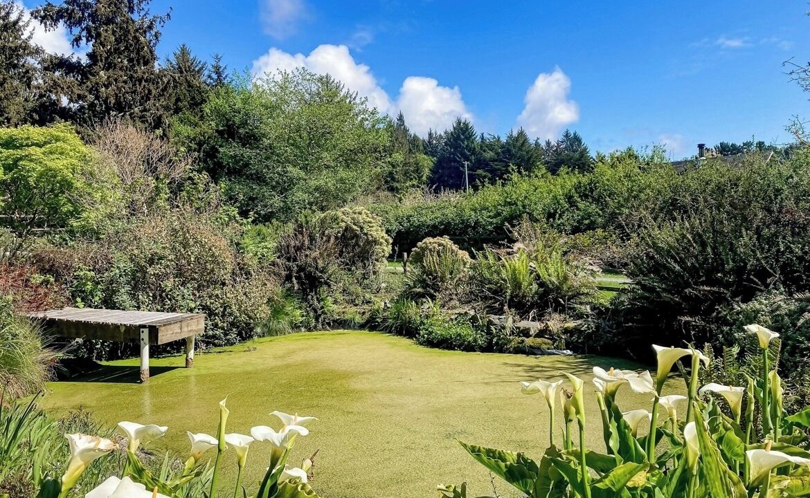 Photo of Outdoor in Trinidad