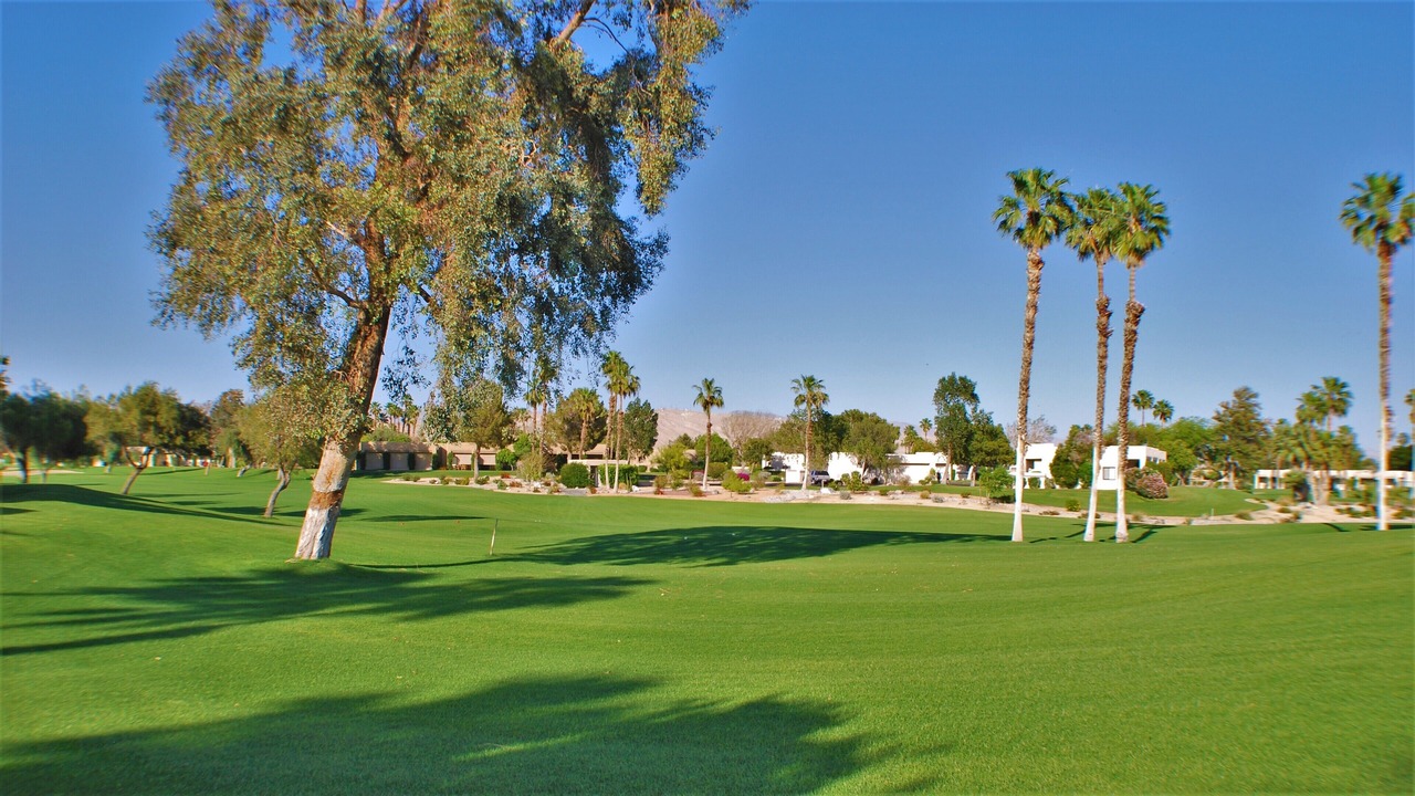 Photo of Others in Palm Springs
