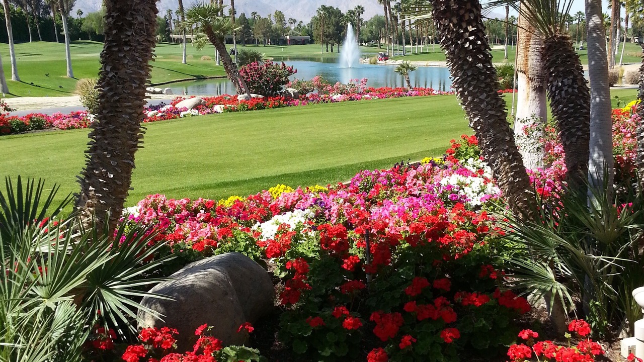 Photo of Outdoor in Palm Springs