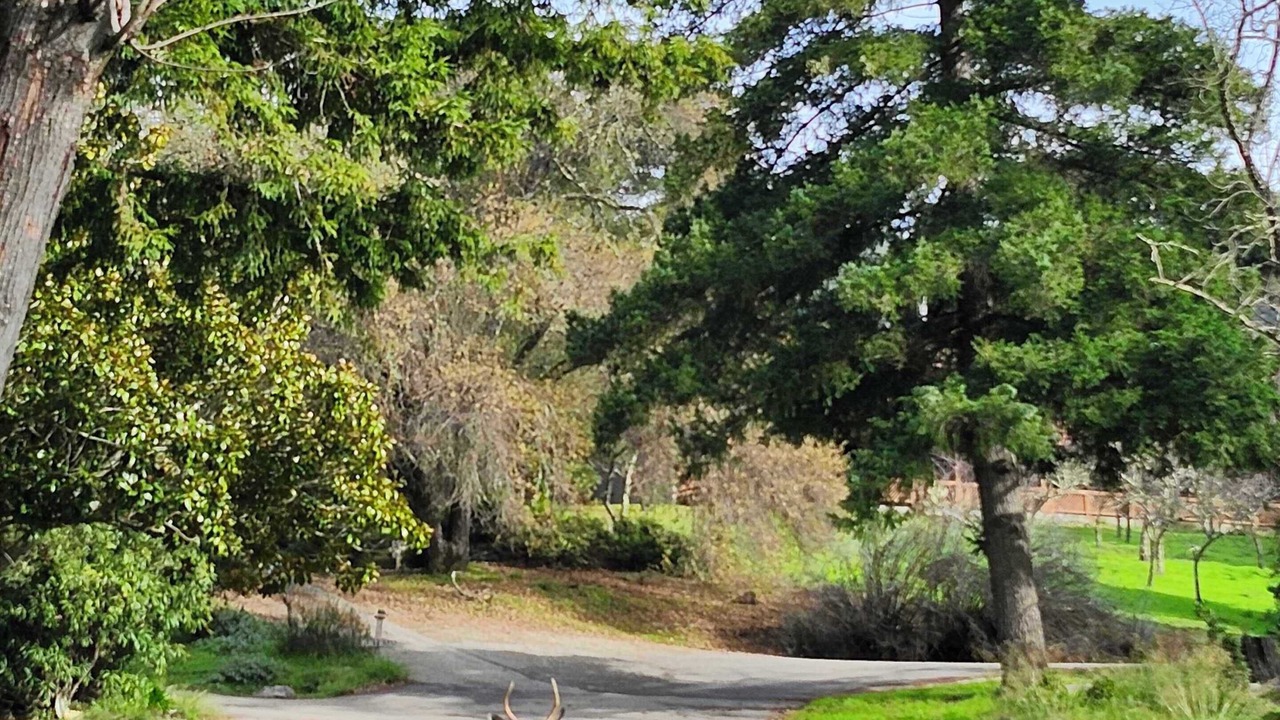 Photo of Others in Los Gatos