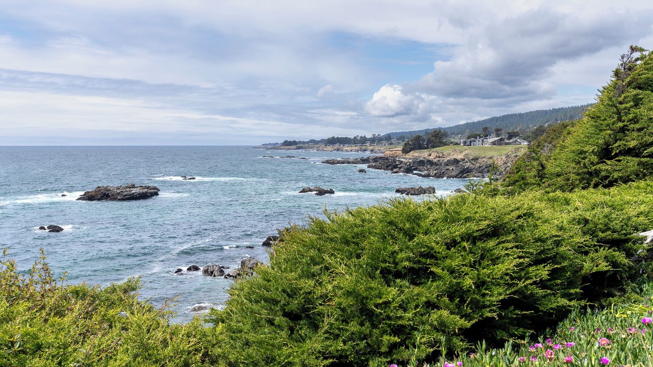 Photo of Others in Sea Ranch