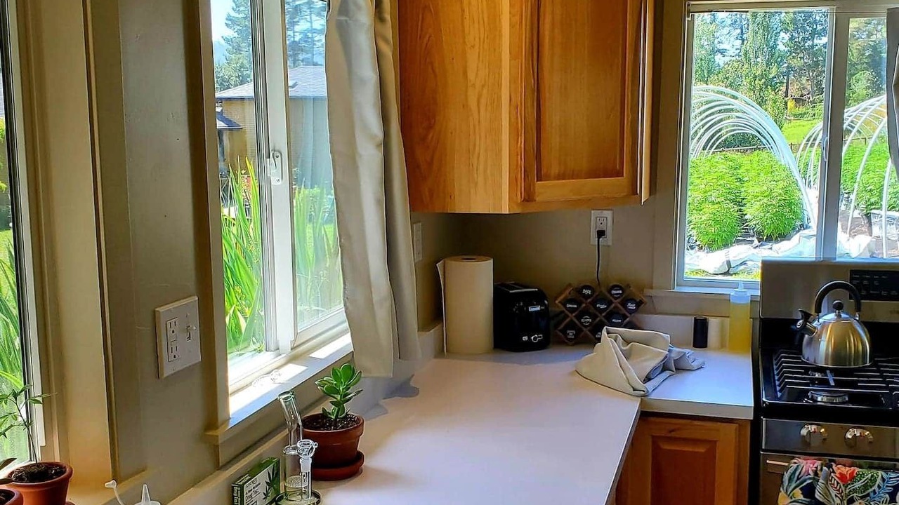 Photo of Kitchen in Freshwater