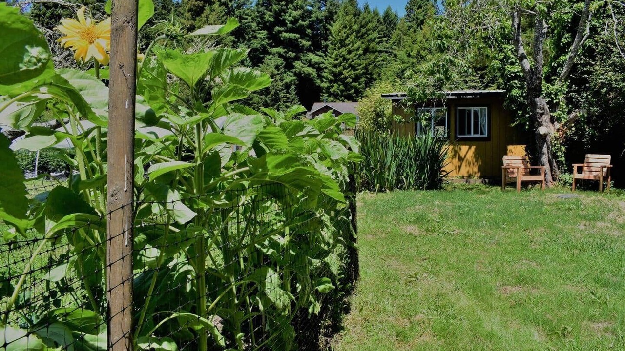 Photo of Outdoor in Freshwater