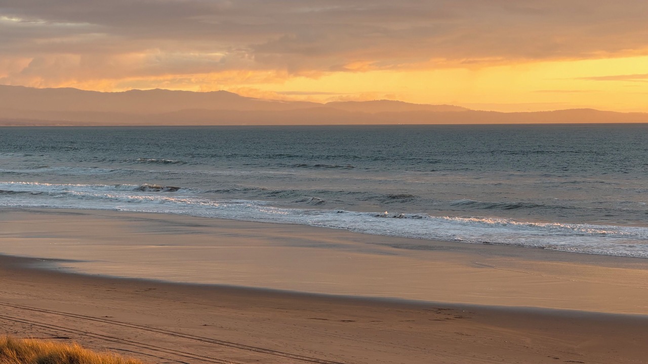 Photo of Others in Pajaro Dunes