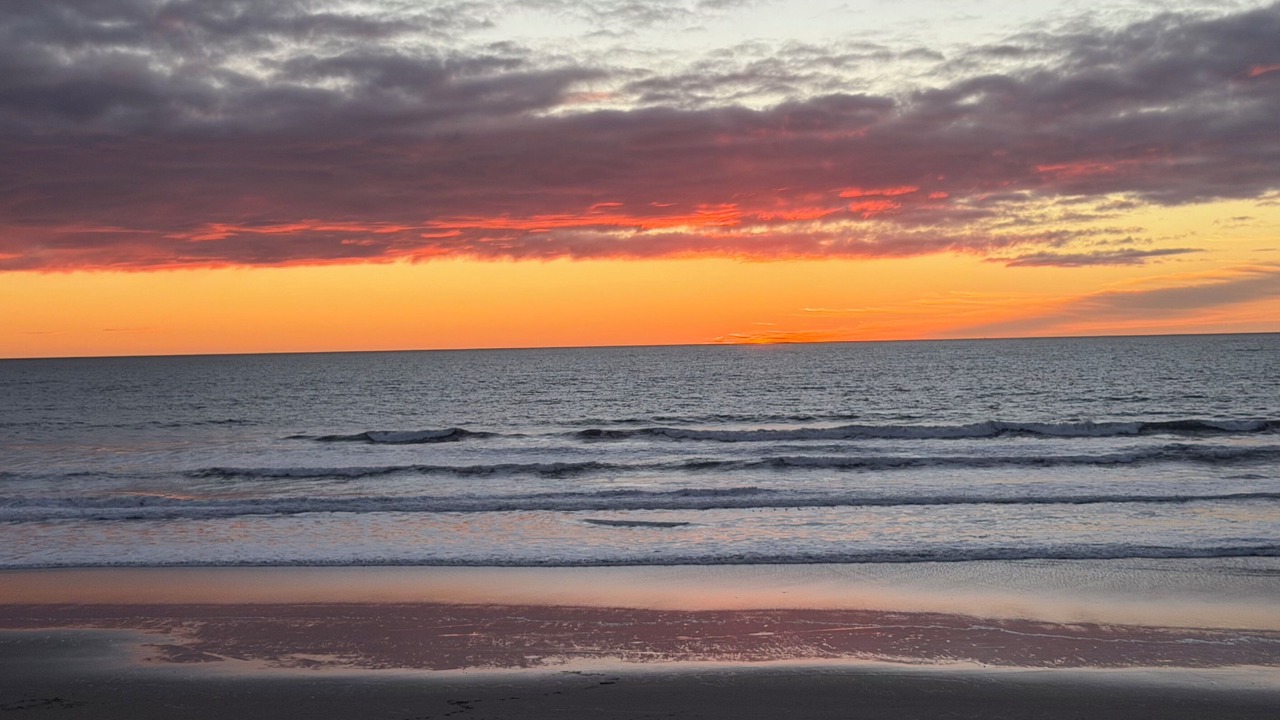 Photo of Others in Pajaro Dunes