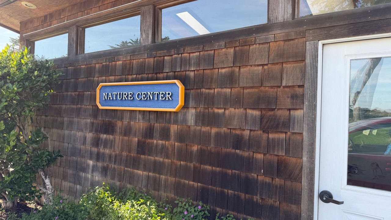 Photo of Outdoor in Pajaro Dunes