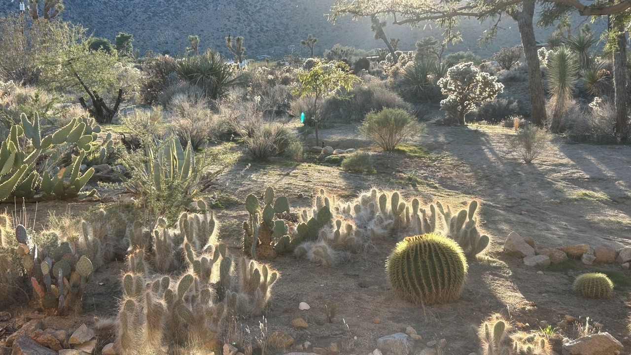 Photo of Outdoor in Joshua Tree Highlands