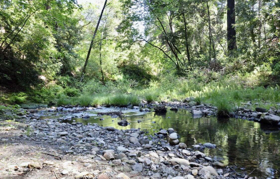 Photo of Others in Soquel