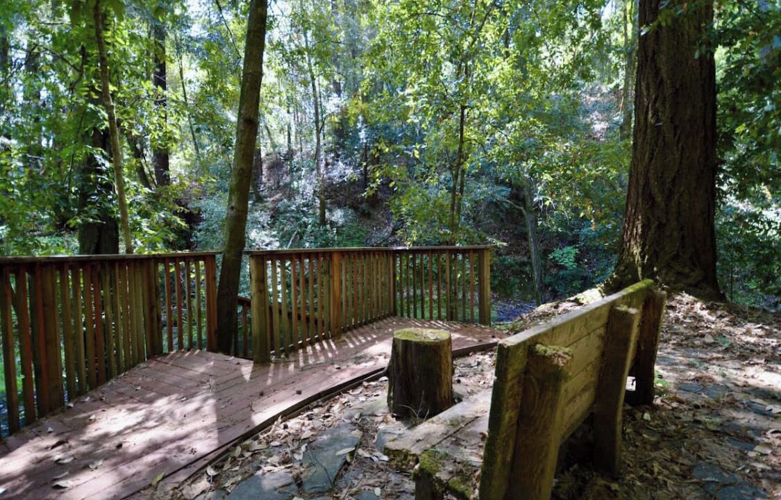 Photo of Outdoor in Soquel