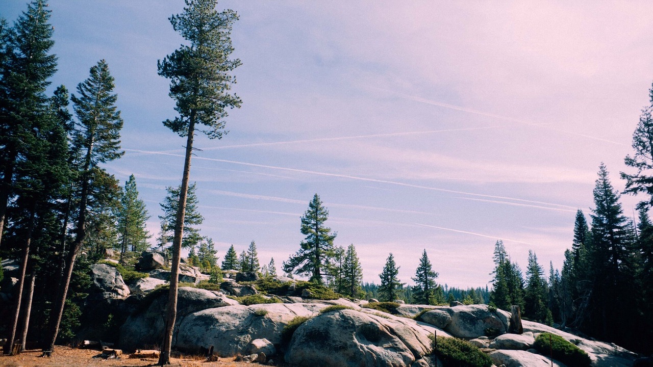 Photo of Others in Bear Valley