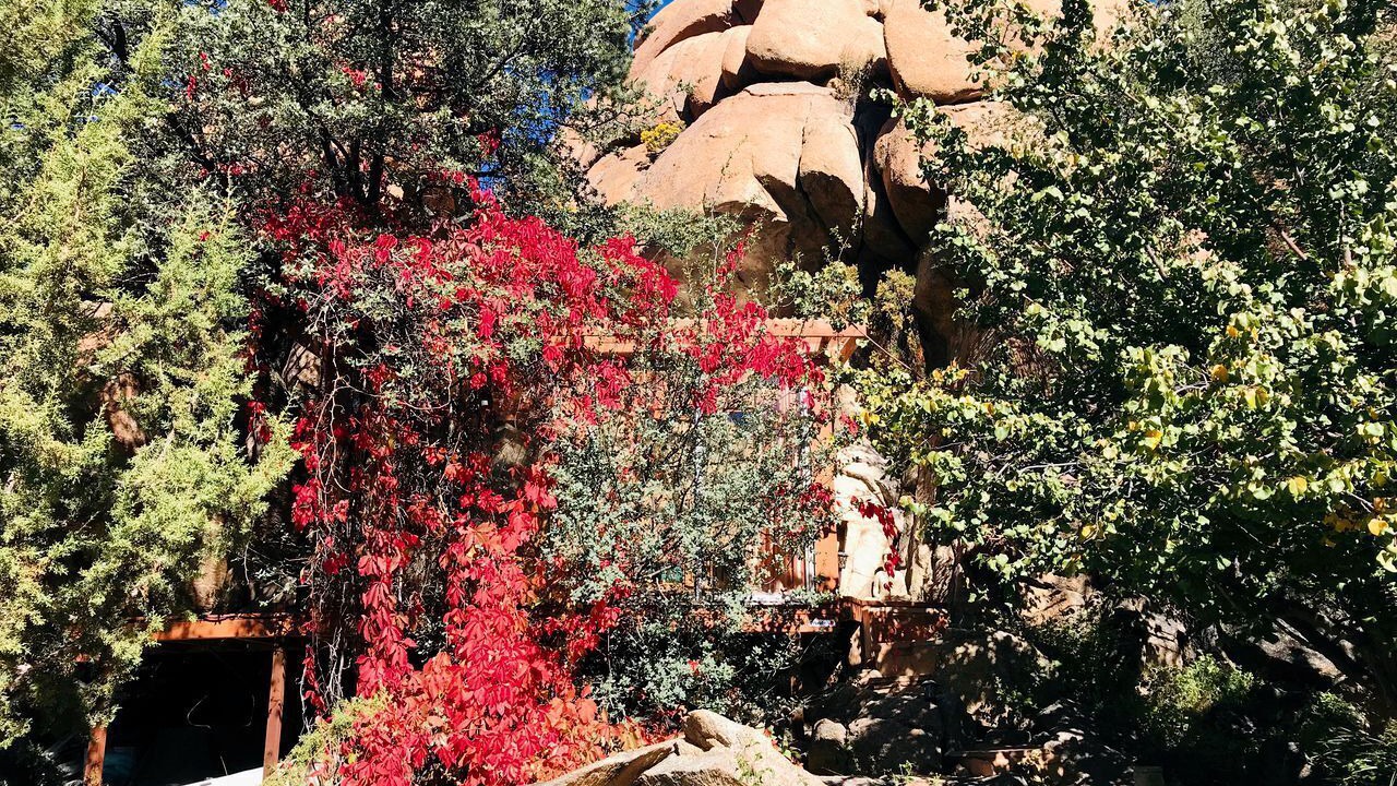 Photo of Others in Prescott