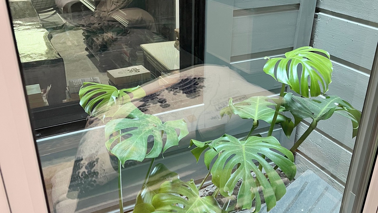 Photo of Others in Nob Hill