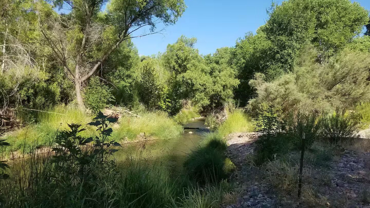 Photo of Others in Cottonwood-Verde Village