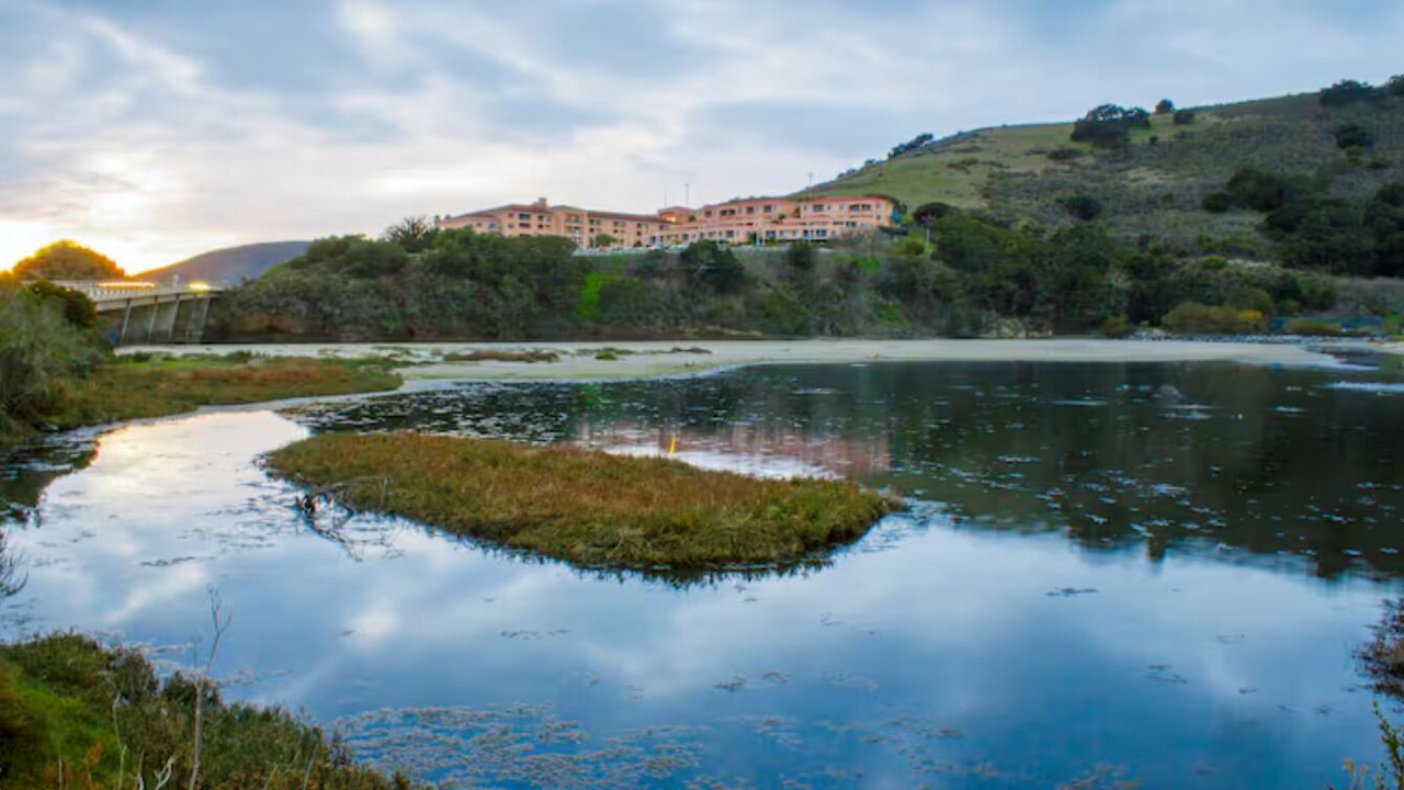 Photo of Others in Avila Beach