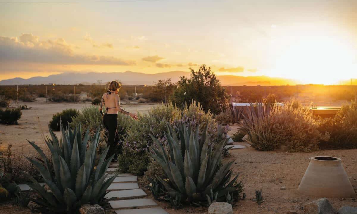 Photo of Others in Joshua Tree