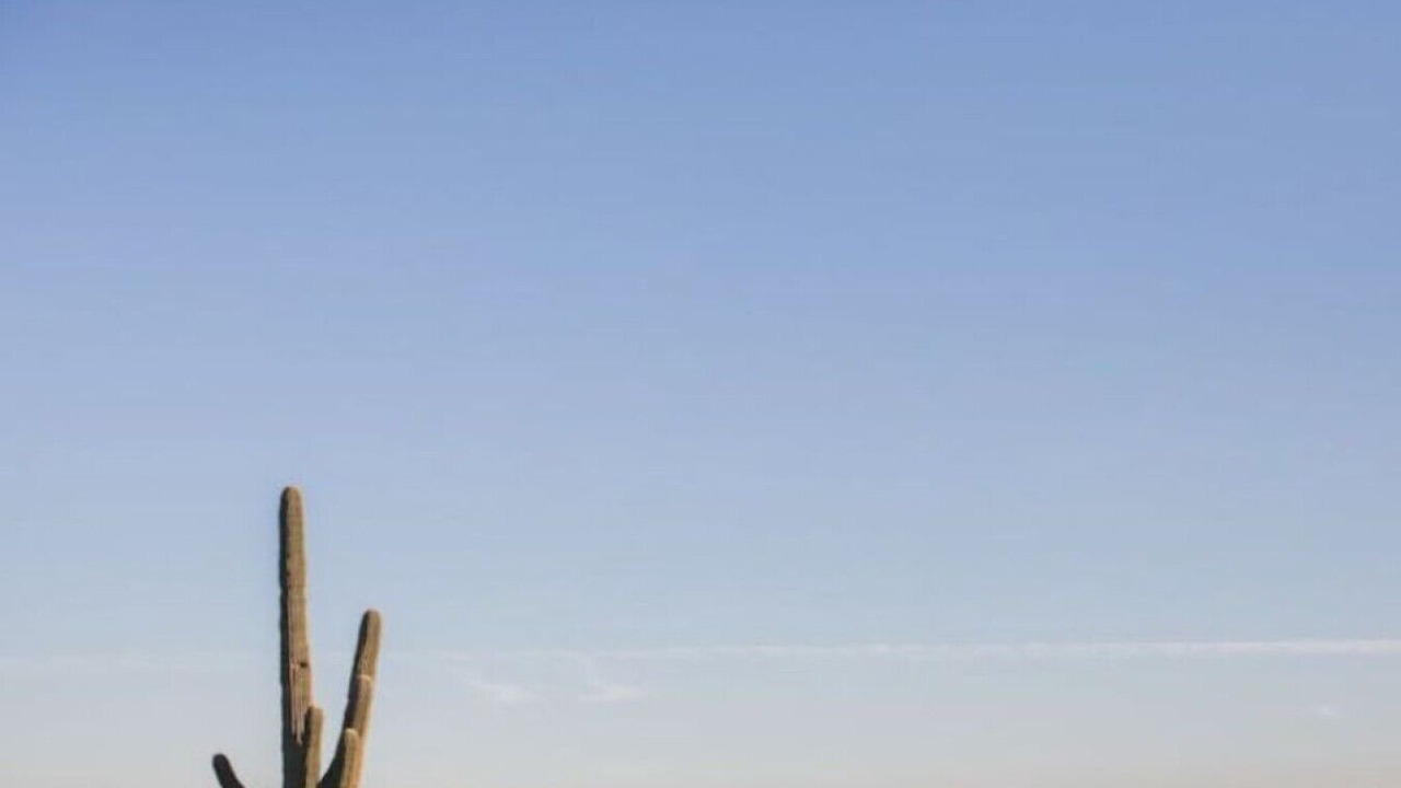 Photo of Others in Tempe