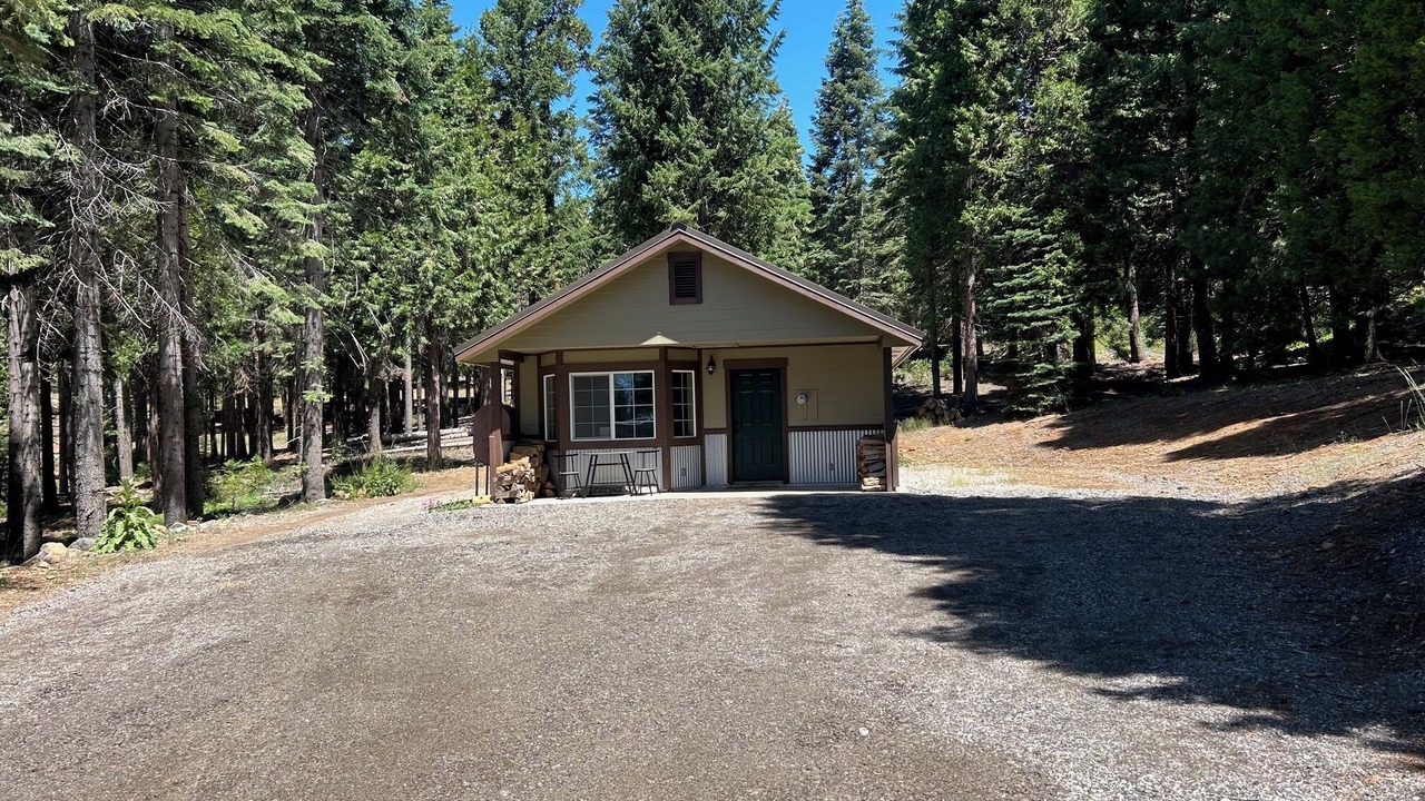 Photo of Outdoor in Mount Shasta
