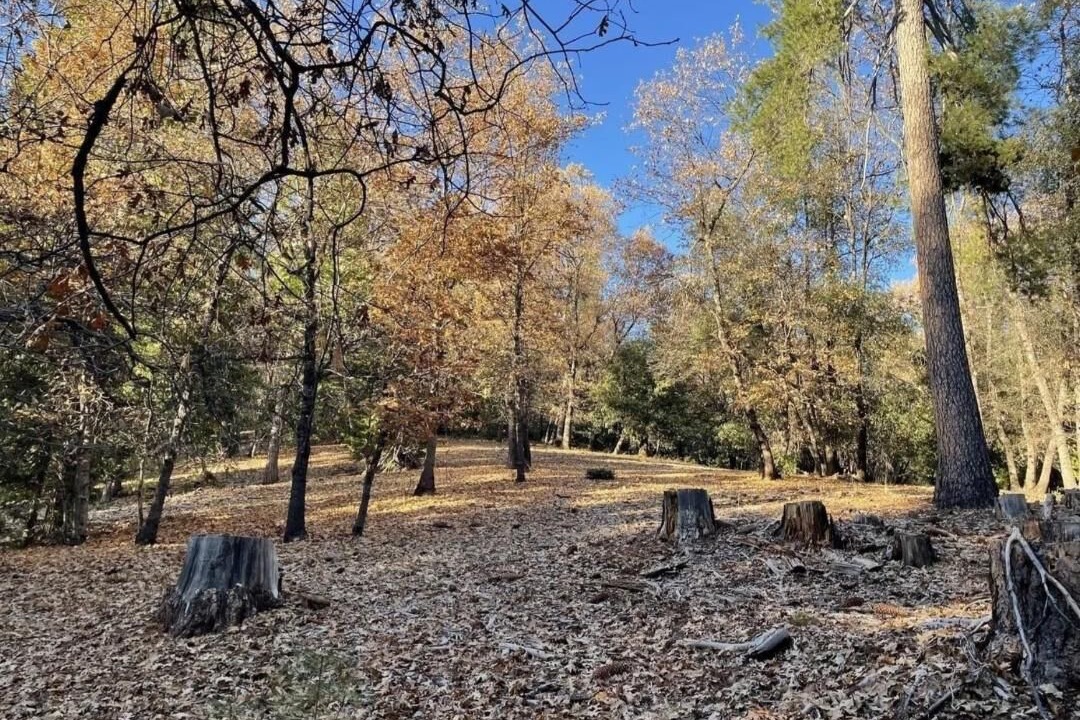 Photo of Others in Phoenix Lake-Cedar Ridge