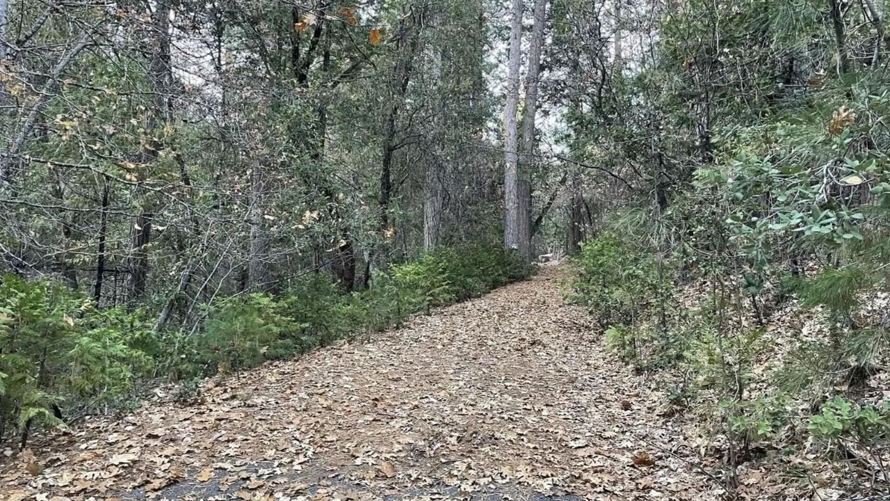 Photo of Others in Phoenix Lake-Cedar Ridge