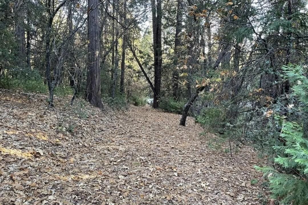 Photo of Others in Phoenix Lake-Cedar Ridge