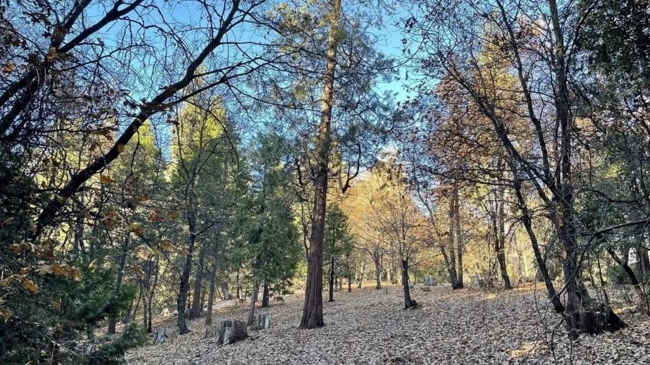 Photo of Others in Phoenix Lake-Cedar Ridge