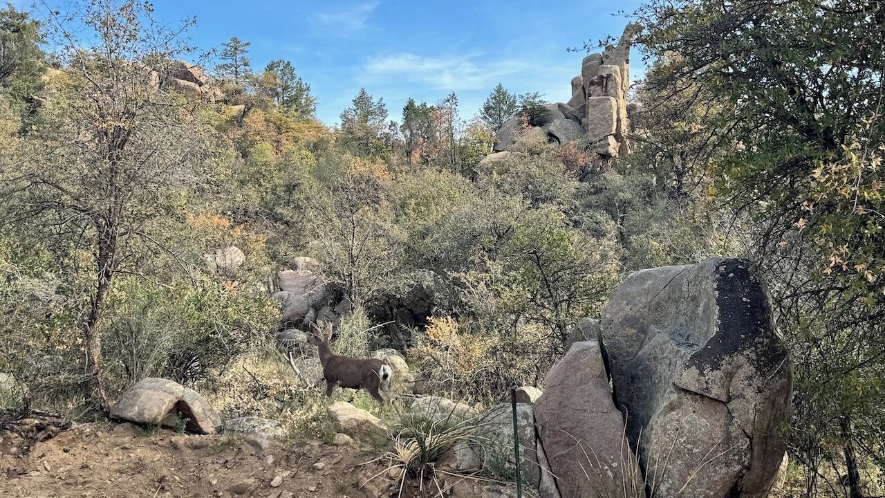 Photo of Others in Prescott