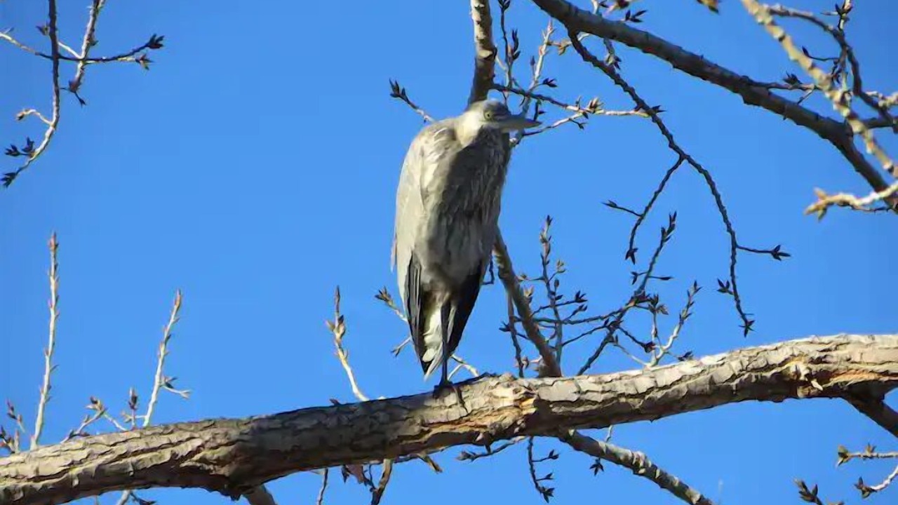 Photo of Others in Walnut Grove