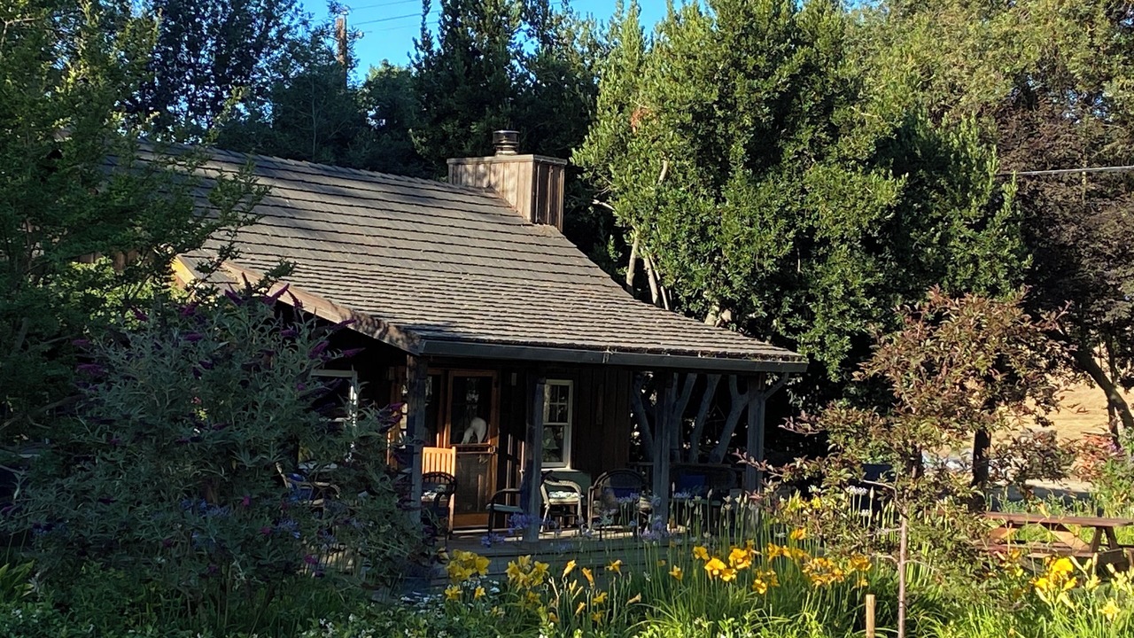 Photo of Outdoor in Walnut Grove